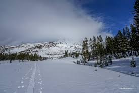 MT SHASTA TOUR GUIDE - Unforgettable Experiences in Mount Shasta: Robin  Kohn's Blog