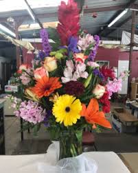Check spelling or type a new query. Tropical Paradise Tropical In Houston Tx T G F Flowers