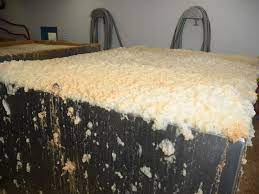 Il processo di fermentazione della birra avviene secondo tre modalità che portano ad altrettanti risultati differenti. Tutto Sulla Birra Ale Ad Alta Fermentazione