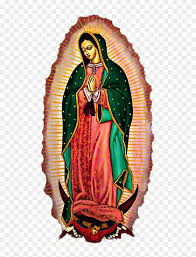 virgen de guadalupe protegenos hd png download 509x1023 1657461 pngfind virgen de guadalupe protegenos hd png