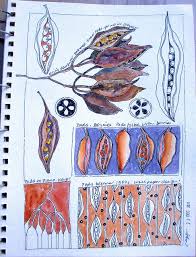 Pods Sketch Book Art Sketchbook Sketchbook Journaling