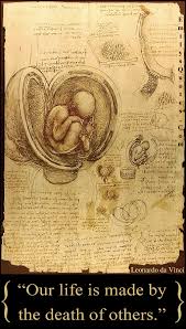 Leonardo da vinci's mona lisa is probably the world's most famous painting. Quotes Of Wisdom Leonardo Da Vinci Motivational Love Quote Those Who Fall In Love By Leonardo Da Dogtrainingobedienceschool Com