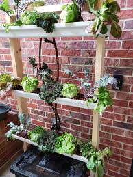 Diy pvc gardening ideas and projects. Diy Hydroponics Going Soil Less At Home And Abroad The Garden Professors