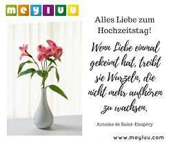 Hochzeitsspruche Alles Liebe Zum Hochzeitstag Alles Liebe Zum Hochzeitstag Gluckwunsche Zum Hochzeitstag Spruche Zum Hochzeitstag