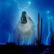 Life Planning Beware Of Fraud In Non Profit Organizations P Fantasy Wolf Wolf Wolf Art