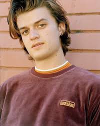 61 Joe Keery ideas