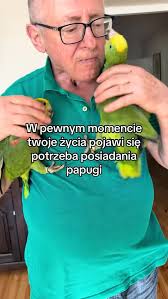 U nas leniwa niedziela z papugami ;) Została ostatnia ara żółtoszyja.