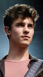 Shawn Mendes physical appearance and musical talents