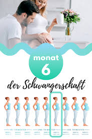 In welchem land ist die prozentzahl laut studie am höchsten? Pin Auf Baby Tipps Deutsch