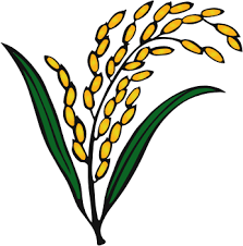 ভোট মার্কা