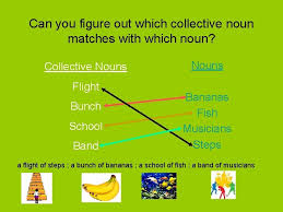 Collective nouns are names for a collection or a number of people or things. Collective Nouns Collective Nouns Are Words Used To