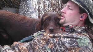 The Life of a Family Hunting Dog