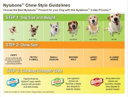 Nylabone Durachew Textured Bone Chicken Flavor Dog Toy Souper