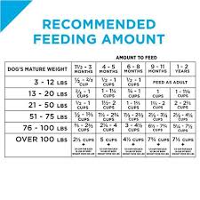 Purina Pro Plan Focus Puppy Lamb Rice Formula Dry Dog Food