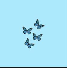 Aesthetic photo aesthetic pictures simple aesthetic butterfly migration butterfly wallpaper monarch butterfly beautiful butterflies wall beautiful monarch butterflies ~ see them up close in their ca. Butterfly Aesthetic Hintergrundbild Nawpic