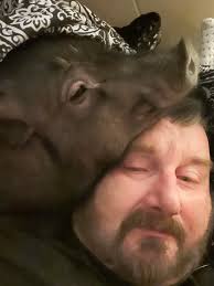 Criticism of Bragging about Daily Wake Up