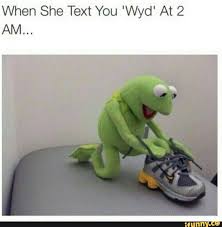 Image result for kermit memes