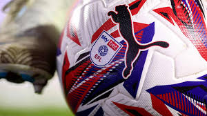 Foxes of Leicester - News update