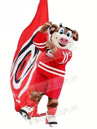 Perhaps a strange choice for a mascot, stormy the ice hog can be seen hogging the crowd in north carolina at all home games. Carolina Hurricanes Stormy Mascot Costume