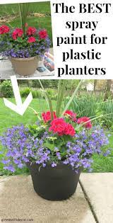 Has anyone ever told you that you cannot spray paint plastic? The Best Spray Paint For Plastic Planters Green With Decor Plastic Planters Painting Plastic Plastic Flower Pots