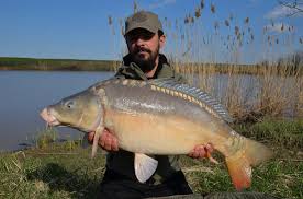 We did not find results for: Pont De Sezon De La Andrei Vladeanu Boilies Mic Si Pelete In Saculet Pva
