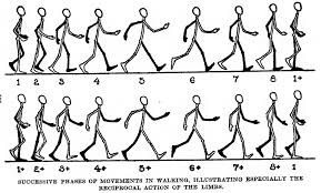 How To Draw And Animate A Person Walking Or Running Huge Guide And Tutorial How To Draw Step By Step Drawing Tutorials How To Draw Steps Person Drawing Flip Book Animation
