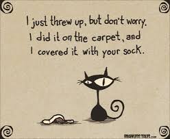 Cat Throw Up Brainless Tales Cat Throwing Up Crazy Cats Cats