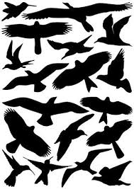 18 Vogelaufkleber Fur Fenster Wintergarten Glashauser Zum Vogelschutz Warnvogel Vogel Silhouetten Schutz Vor Vogelschla Vogel Silhouette Glashaus Aufkleber
