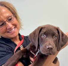 Cindy Fortney's Instagram, Twitter & Facebook