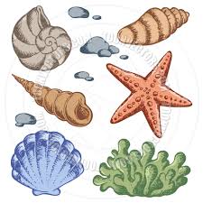 Cartoon Sea Shells Drawings By Clairev Toon Vectors Eps 38036 Shell Drawing Free Vector Illustration Drawings Alibaba.com offers 849 cartoon clam shell products. cartoon sea shells drawings by clairev