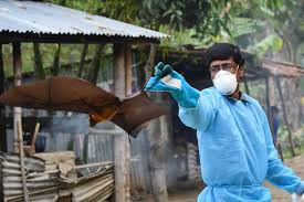 Top posters in this topic. Tracking The Nipah Virus Hub