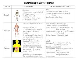 Accompanies Basic Animal And Human Body Systems Worksheet