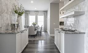 Modern Sleek Butlers Pantry Design In Our Excelsior Floor Plan New Home Communities Pantry Design New Homes