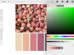 How to blend colors in procreate. How To Create A Color Palette In Procreate Using The Eyedropper Tool Lettering League