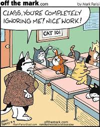 What Dream About Cat Giving Birth To Kittens Means