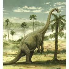 Maybe you would like to learn more about one of these? Apatosaurus Feeding On The Leaves Of A Tree Canvas Art Jan Sovakstocktrek Images 27 X 30 Prehistoric World Prehistoric Wildlife Prehistoric Animals