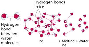 Escentric molecules celebrates perfumery as the art of chemistry. Chemistry Ii Water And Organic Molecules