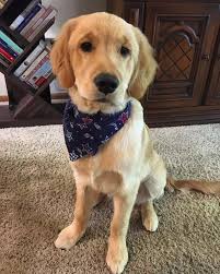 My little flower child. He's also a very patient model