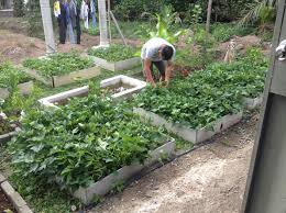 Setelah tinggal bersama, kita berpeluang. Tak Sanggup Beli Rumah Dengan Beban Hutang 30 Tahun Lelaki Ini Tekad Bina Rumah Kontena Sendiri