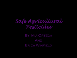 Soil erosion threatens the productivity of land in both rich and poor countries. Apes Food Soil Pests Unit Study Guide After