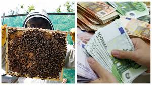 Fundația institutul de management în asigurări (ima), în parteneriat cu universitatea alexandru ioan cuza din iaşi, universitatea ovidius din constanţa, univeristatea. Fonduri Europene Pentru Apicultori Cate Familii De Albine Trebuie SÄƒ Ai Pentru A Lua Bani Nerambursabili Prin Pndr