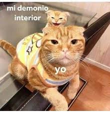 Animals Animal Pet Dog Cat Dogs Cats Photooftheday Cute Pets Instagood Animales Cute Love Natu Comebacks Memes Memes Animal Memes