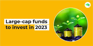 Best Large Cap Equity Mutual Funds To Plan Investing In November 2021!