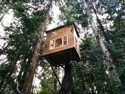 Building a treehouse is a fun and innovative way to add extra space to your home and is definitely not just for kids! Tiny Treehouse On B C S Pender Island Only Cost 8 200 To Build