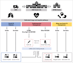 Stemi results from complete and prolonged occlusion of an epicardial coronary blood vessel and is defined based on ecg criteria.nstemi usually results from severe coronary artery narrowing, transient occlusion, or microembolization of thrombus and/or atheromatous material. Eapci Position Statement On Invasive Management Of Acute Coronary Syndromes During The Covid 19 Pandemic Eurointervention