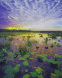 Digital Art: Australian Rivers Lakes and Floodplains