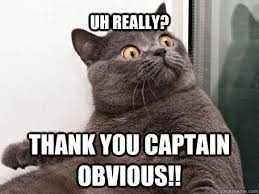 Uh Really Thank You Captain Obvious Conspiracy Cat Quickmeme