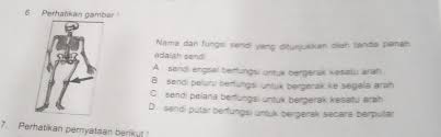 Fungsi sendi peluru, pelana, putar, luncur,engsel.tolong dong besok mau dikumpul. Nama Dan Fungsi Sendi Yang Ditunjukkan Oleh Tanda Panah Adalah Sendi Brainly Co Id