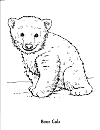 Learn more about the grizzly bear and how you can defend yourself. Grizzly Bear Pictures To Print Peepsburgh