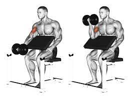 arm workout panosundaki pin